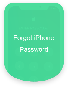 Forgot iPhone Password