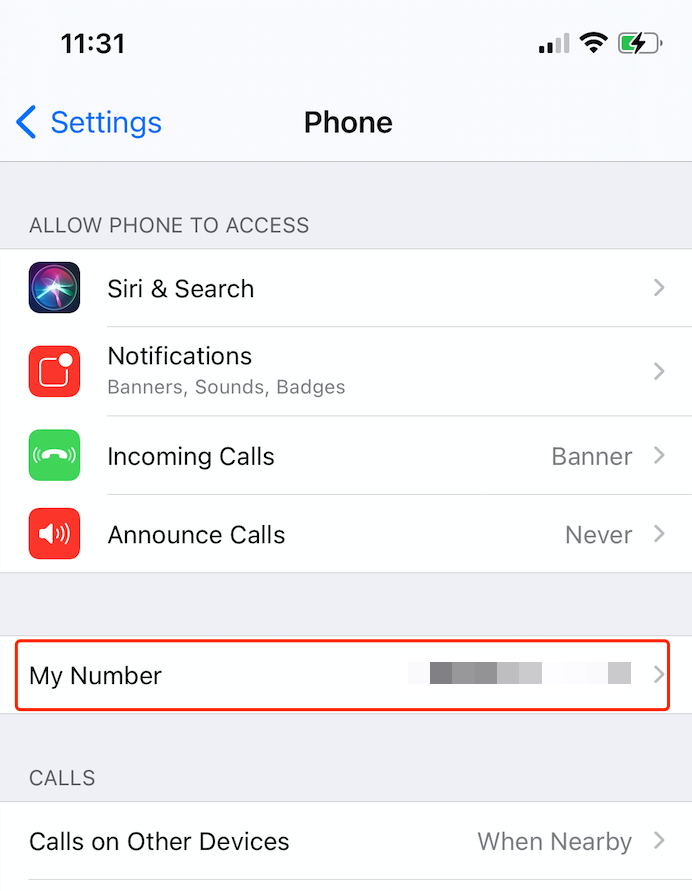 phone number listed in the phone settings