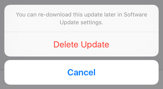 delete iphone updates