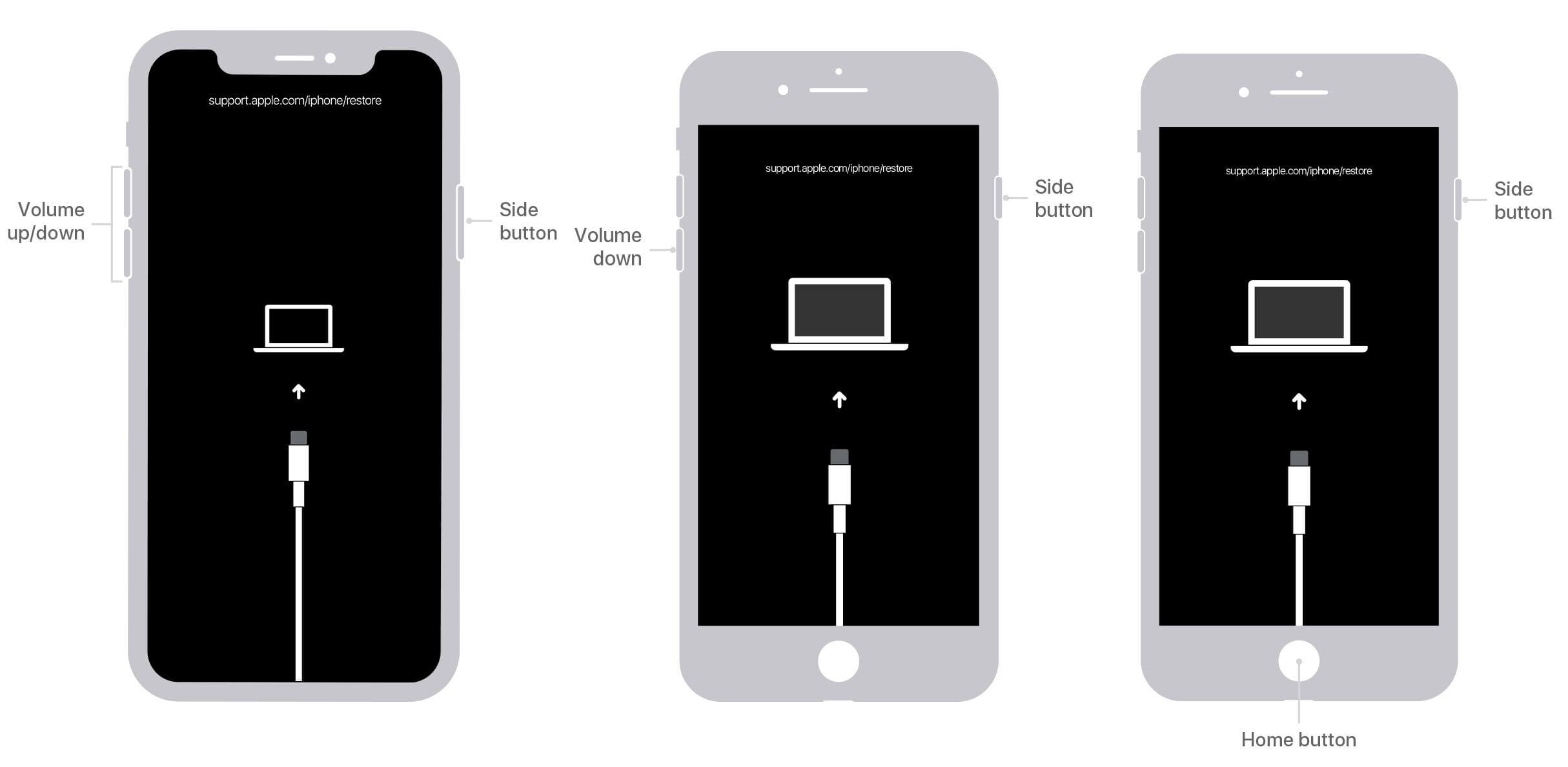 ipone recovery mode
