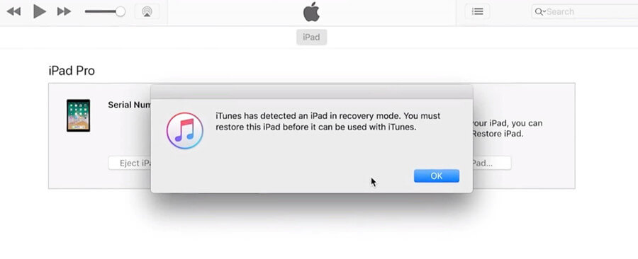 itunes detecred an ipad in recovery mode