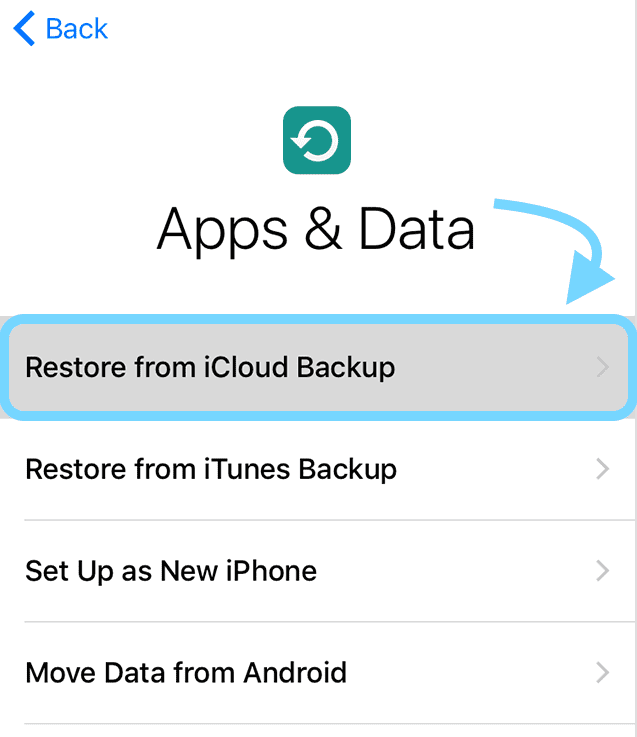 restore from icloud backup