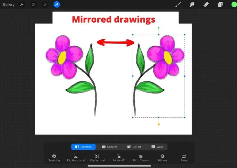 how to mirror draw on procreate